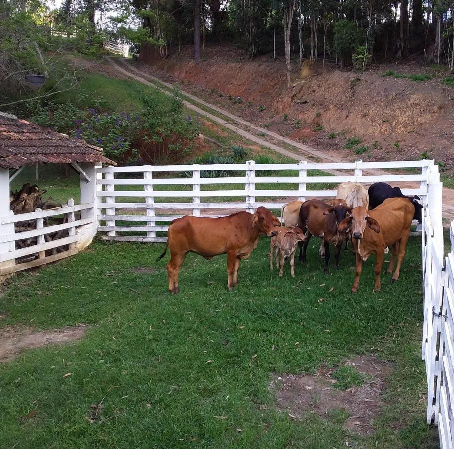 Chales Vinhas Da Harmonia L Pousada Em Cunha Sp Kültér fotó