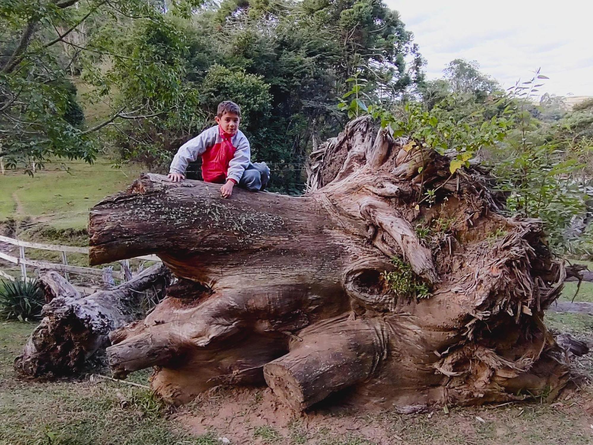 Chales Vinhas Da Harmonia L Pousada Em Cunha Sp Kültér fotó
